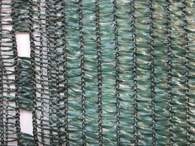 Brisevue 80%