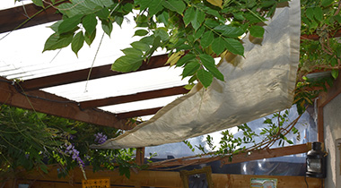 VOILE DOMBRAGE