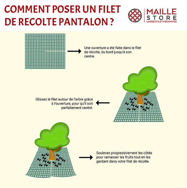 Comment POSER un filet anti-oiseaux sur un ARBRE FRUITIER ? Tutoriel -  Maillestore