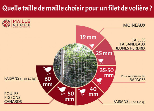 Quelle taille de maille choisir pour mes filets de volière et anti-oiseaux ?