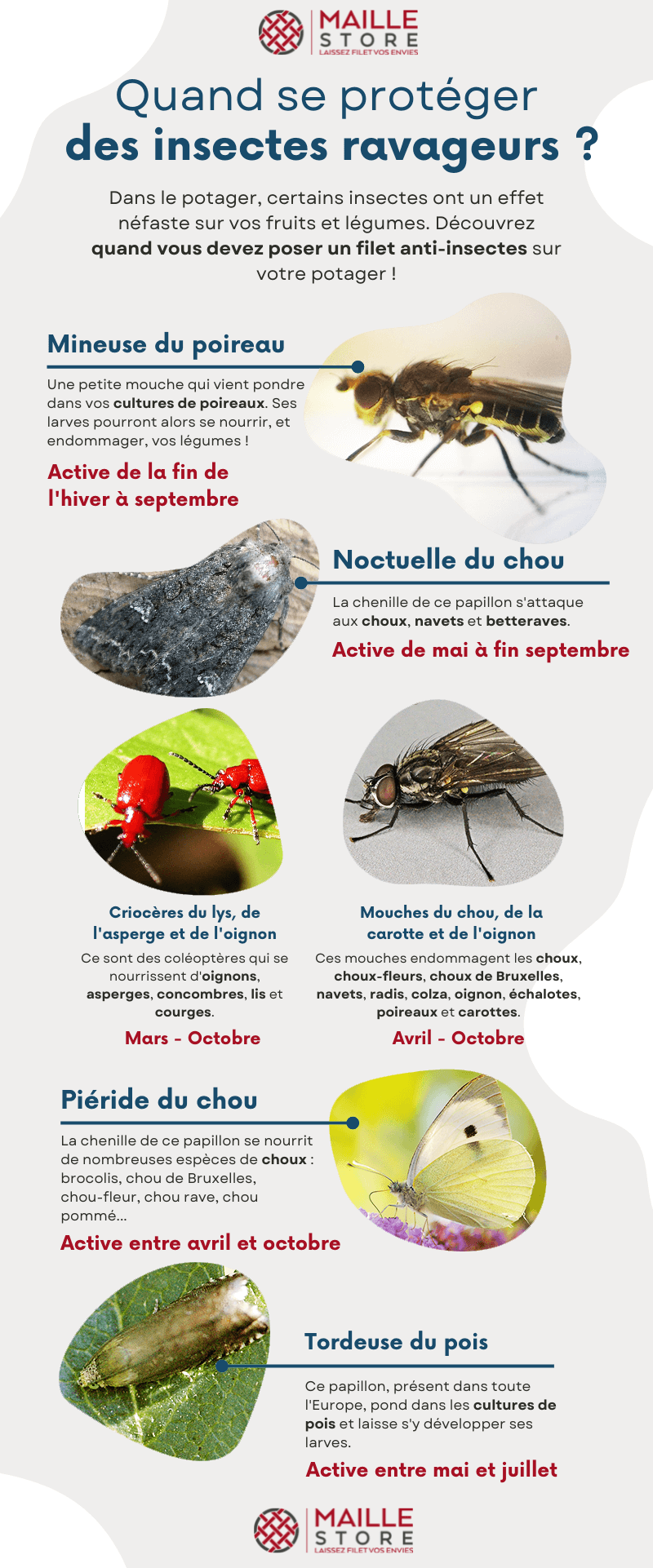 Filet de protection contre les insectes pour plantes potagères de