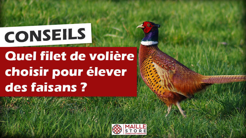 Filet de volière sur mesure - Maille de 40mm - Pigeons, faisans