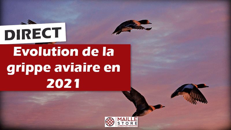 suivi-evolution-grippe-influenza-aviaire-ete-automne-hiver-2021.png