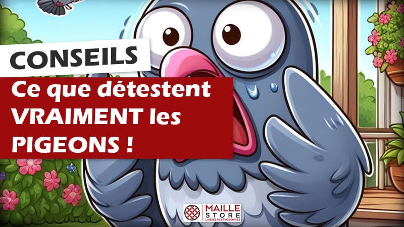 Ce que détestent les pigeons