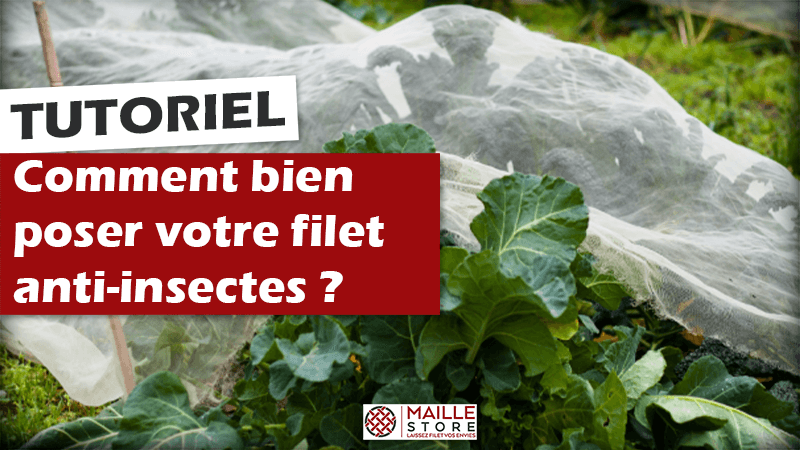 Filets et voiles anti-insectes : protéger facilement ses cultures