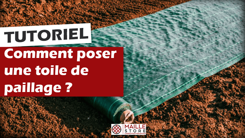 Est-ce que la toile de paillage laisse passer l'eau ? - Blog