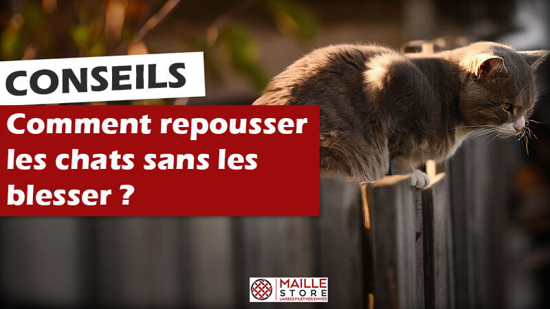 Comment repousser les chats sans leur faire de mal ?