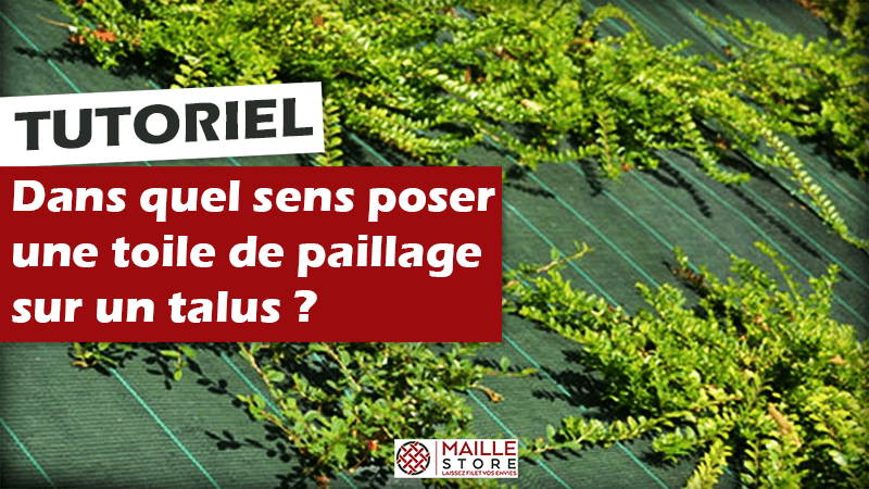 Toile paillage : pour ou contre sa pose au jardin ?