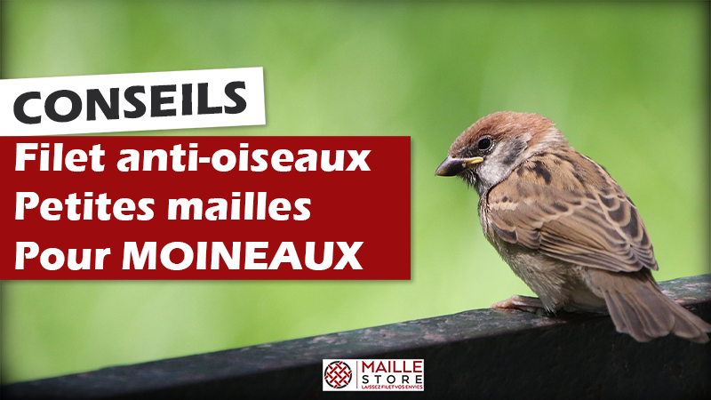 Filet anti-oiseaux avec petite maille - Moineaux - Maillestore