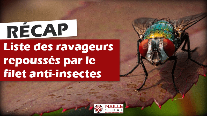 insectes-repousses-par-filet-anti-insectes-maille-store-ravageurs.png