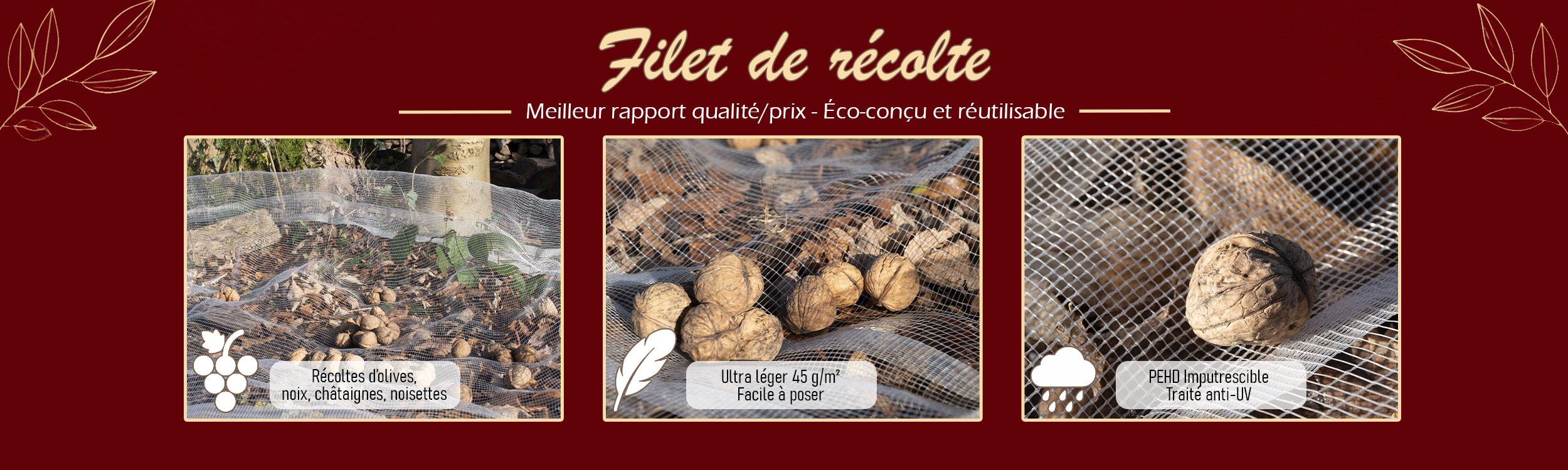 RECOLTE MEILLEUR PRIX FR