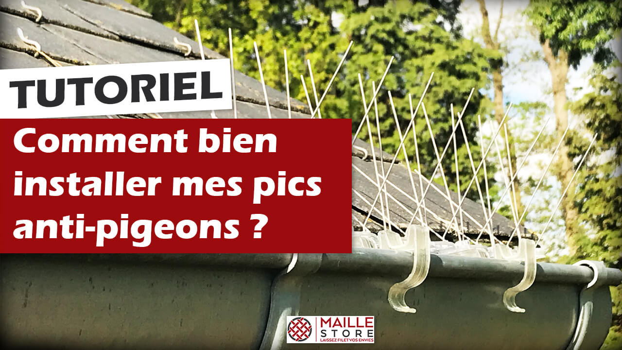 Quel dispositif anti-pigeons utiliser ?