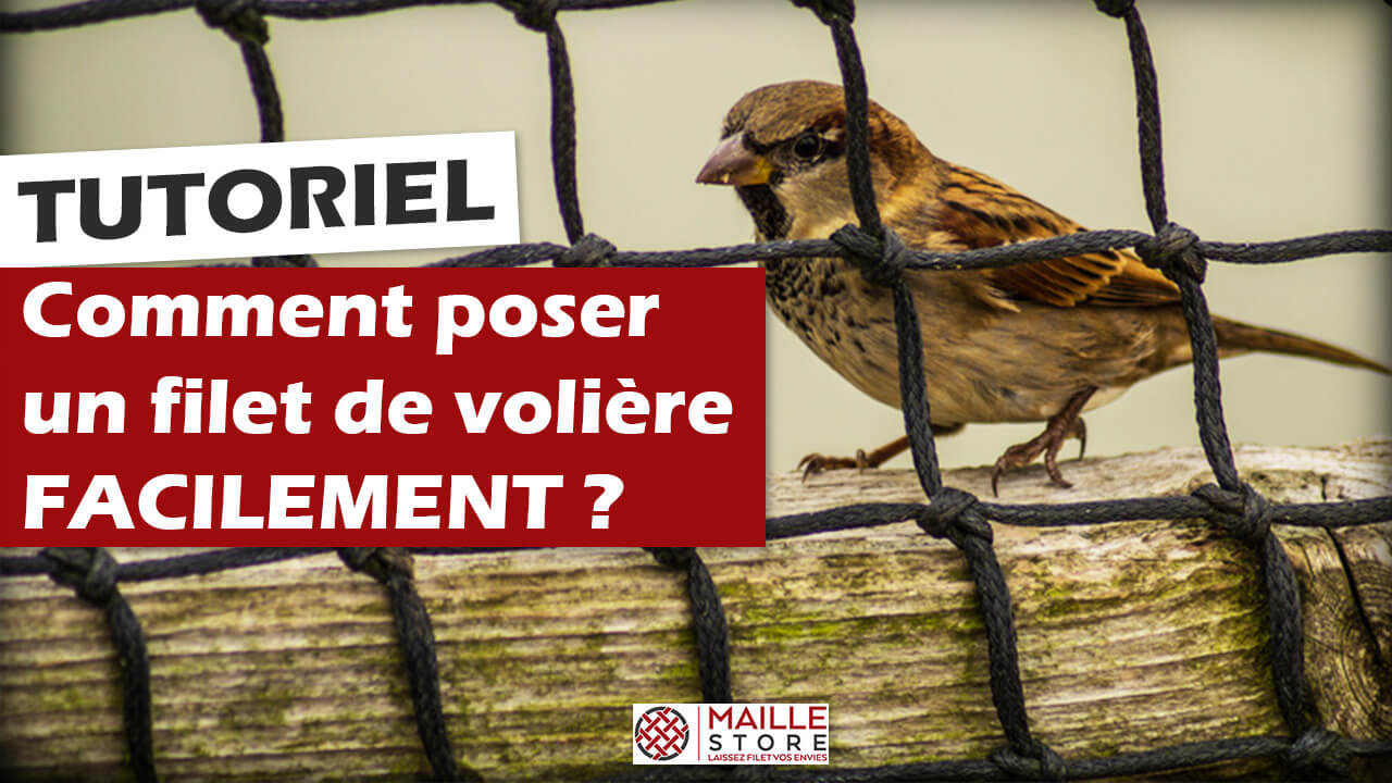 Comment installer un filet de protection anti-oiseaux ? - Jardin