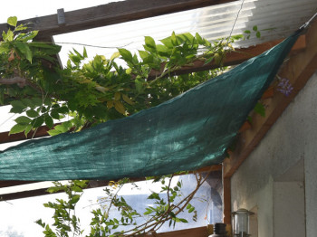 VOILE-DOMBRAGE-3