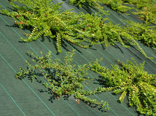 HURRISE Tissu de paysage de barrière contre les mauvaises herbes