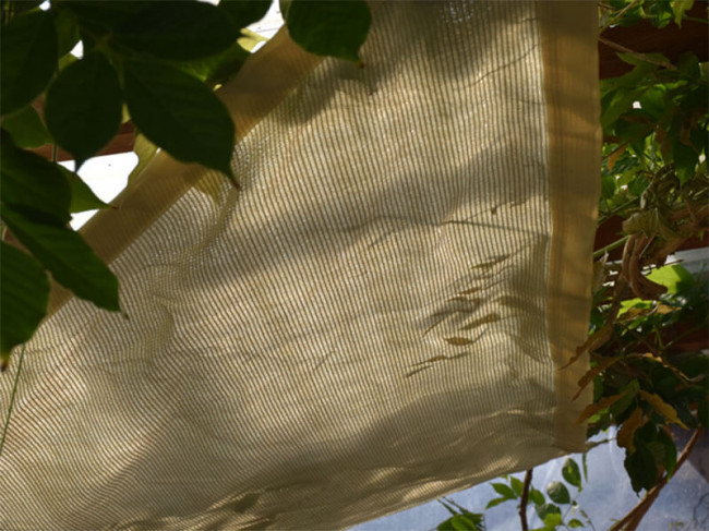 2-voile-d-ombrage-forme-triangle-beige-avec-attache-pour-terrasse-et-jardin-maillestore_m.jpg