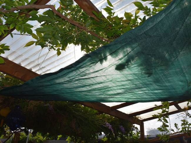 3-voile-d-ombrage-forme-triangle-vert-avec-attache-pour-terrasse-et-jardin-maillestore_m.jpg