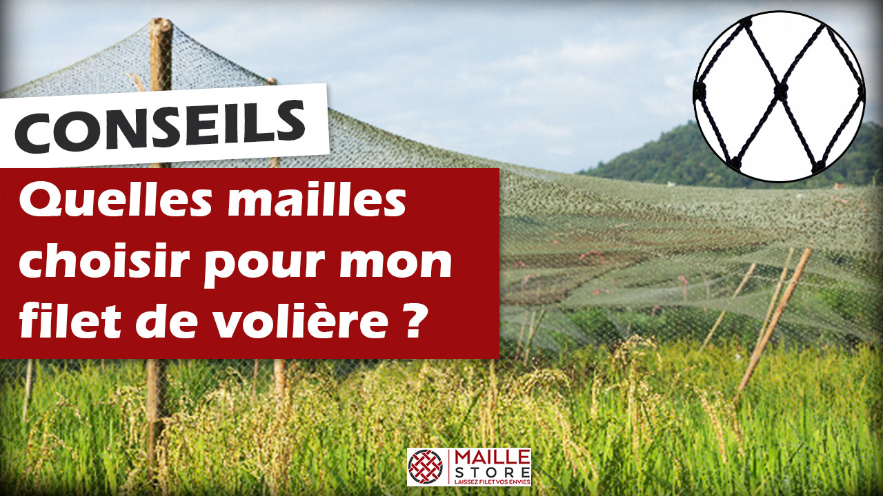 quelles-mailles-choisir-pour-mon-filet-voliere-maillestore-conseil-2